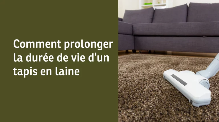 Entretien tapis laine : le guide complet pour le garder impeccable pendant des années